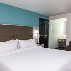 Queen Suite